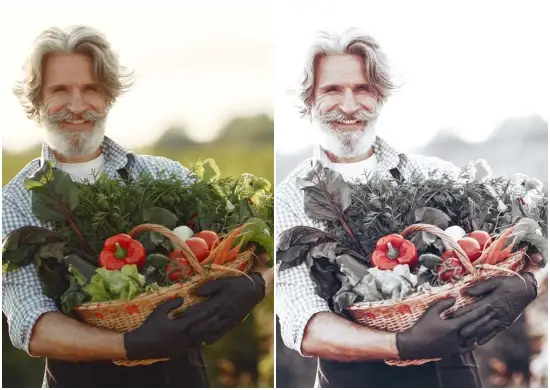 Download Dng Spring Gray Preset