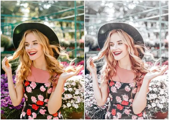 Instagram Blogger Preset Lightroom