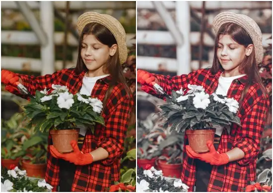 Vintage Girl Farm Preset Lightroom