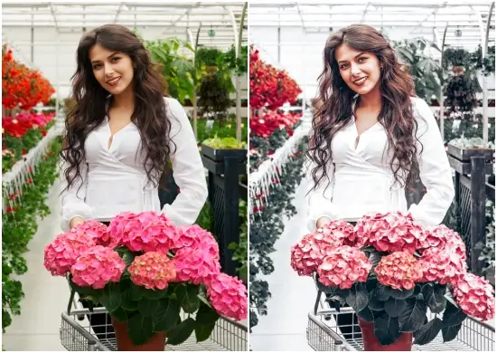 Colorful Floristry Preset