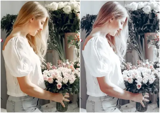 Download Spring Gray Tone Preset