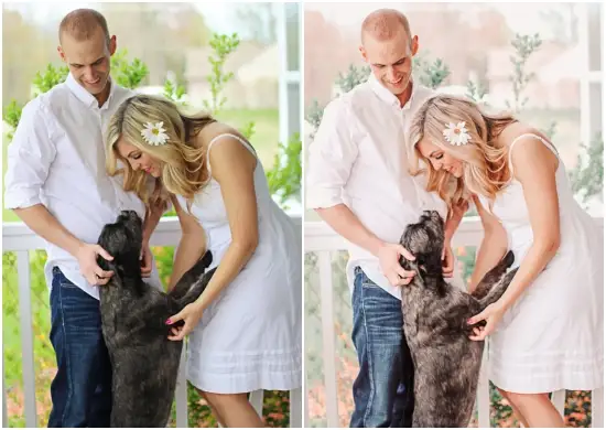 Download Spring Kiss Lightroom Presets zip