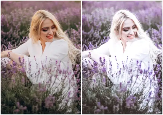 Download Free Purples Mobile Lightroom Presets