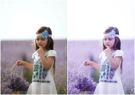 Download Lavender Lightroom Presets