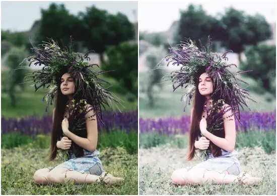 Airy Lilac Lightroom Preset Dng