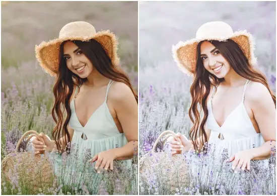 Lilac Purple Tones Instagram Story Blogger