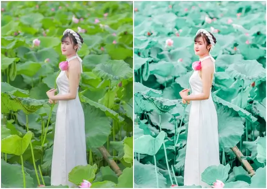 Download Spring Time Lightroom Preset Free Dng