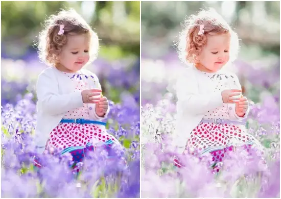 Spring Lightroom Preset For Mobile & Desktop