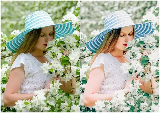 Free Dng Lightroom Spring Preset