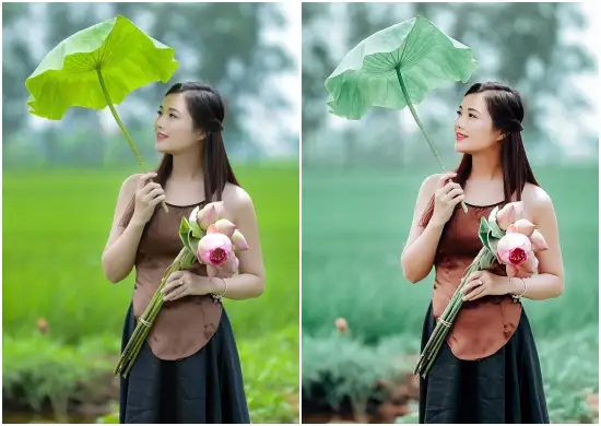 Lotus Spring Tone Lightroom Preset