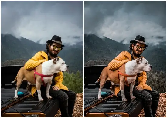 Dark Tone Lightroom Free Preset