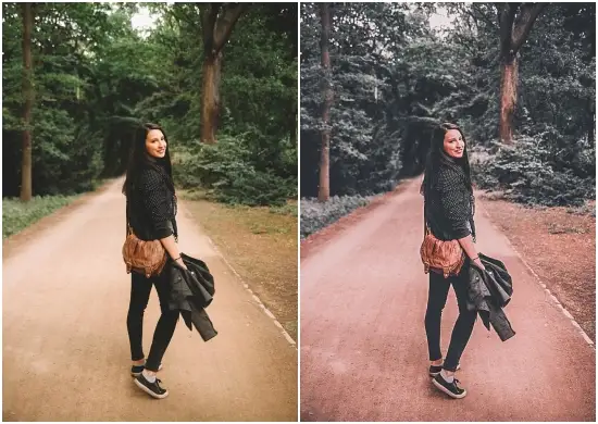 Download Free Dark Mood Lightroom Preset