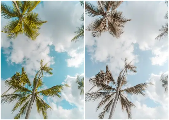 Download Free Stylish White Tone Mobile Preset