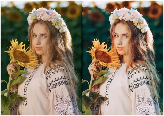 Download Vibrant Presets Mobile Lightroom