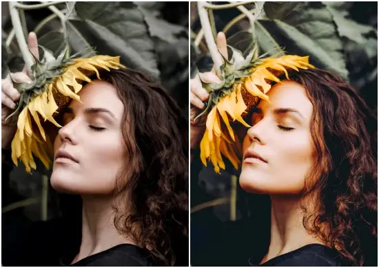 Download Art Lightroom Presets