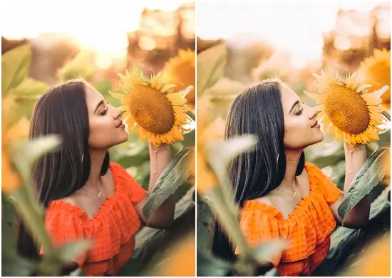 Insta Blogger Lightroom Mobile Presets