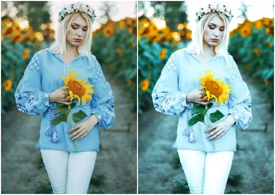 Sunflower Cool Tone Preset