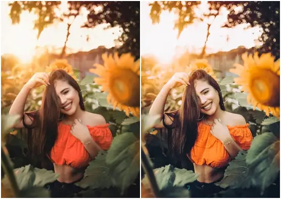 Sunflower Mobile Lightroom Presets