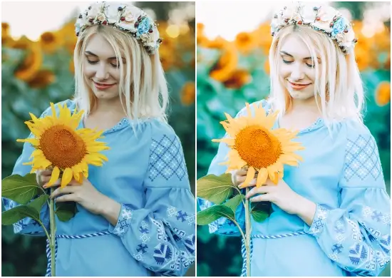 Sunflower Lovers Preset Lightroom