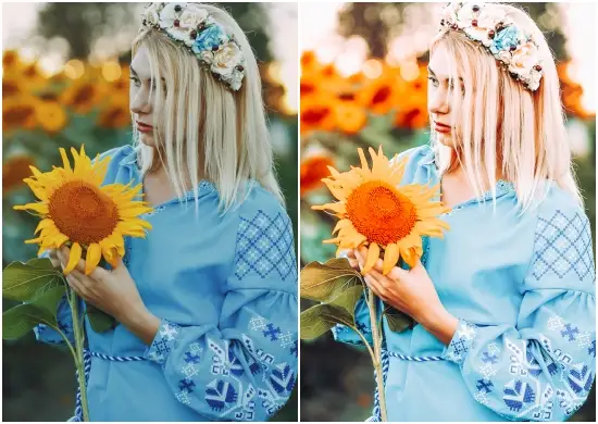 Urban Sunflower Preset Lightroom