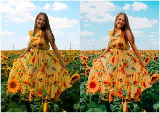 Dng Nature Outdoor Preset