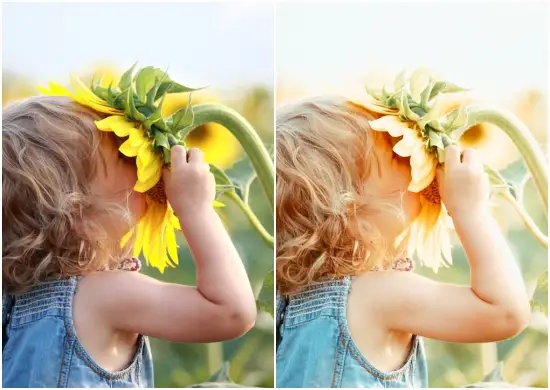 Sunflower Love Mobile Lightroom Preset