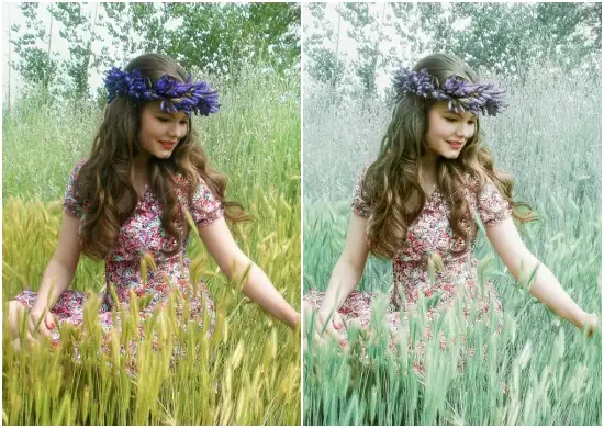 Portrait Nature Lightroom Preset