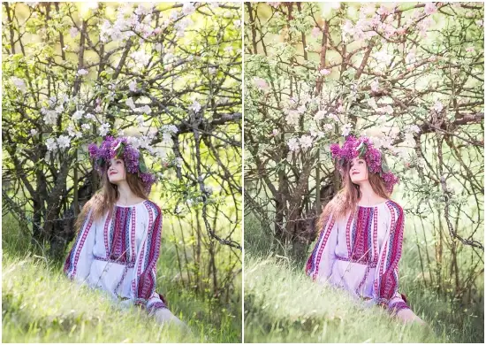 Spring Portrait Lightroom Preset
