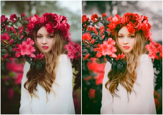 Premium Sweet Fantasy Lightroom Preset