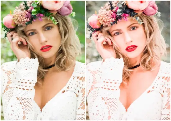 Portrait Warm Tone Preset