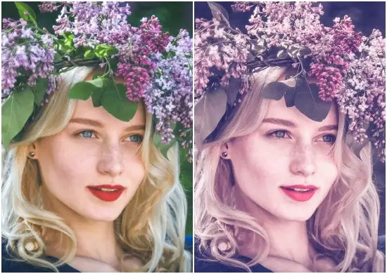 Best Blogger Lightroom Preset