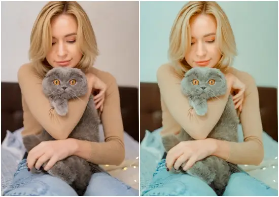 Party Sweet Home Preset