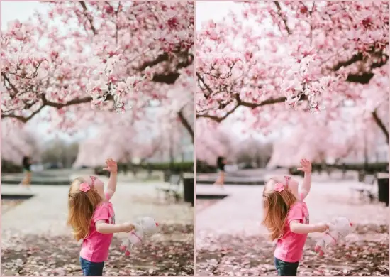 Nature Lightroom Preset