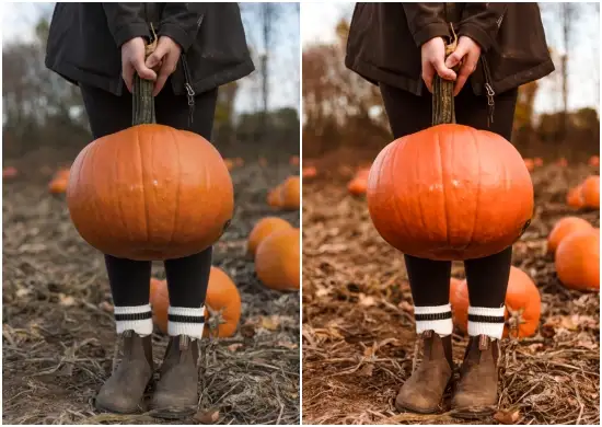 Thanksgiving Ginger Pumpkin Pie Preset