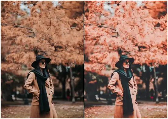 Download Toronto Preset Free