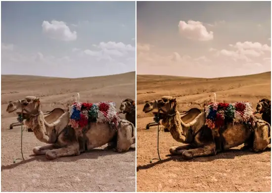 Old Summer Travel Preset