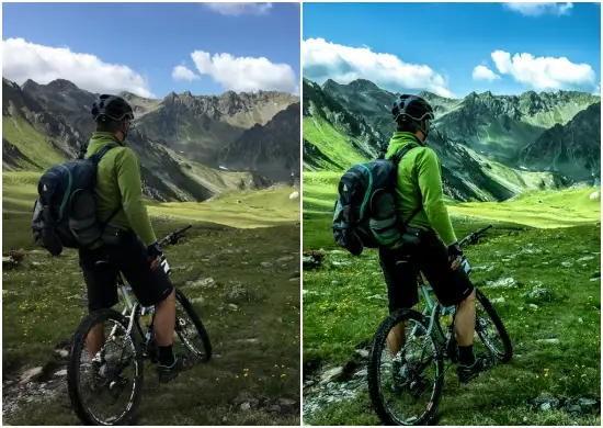 Travel Blogger Greenery Preset