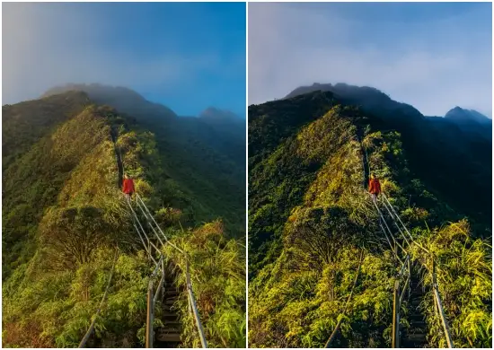 Nature Dark Tone Lightroom Preset