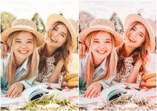 Travel Warm Tone Holiday Preset