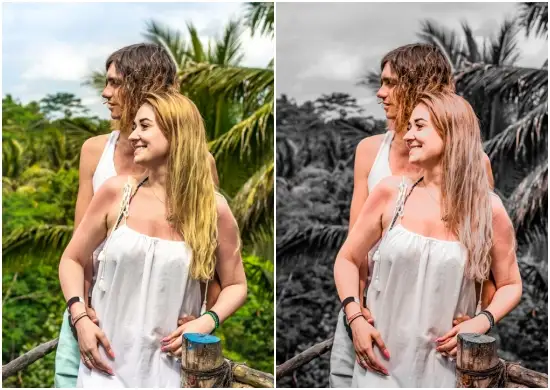 Travel Gray Tone Lightroom Preset