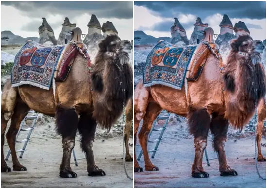 Free Perfect Gray Tones Preset Giveaways