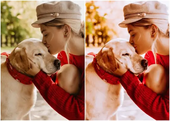 Valentine Day Love Beautiful Presets