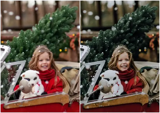 Vintage Christmas Preset Dng Free