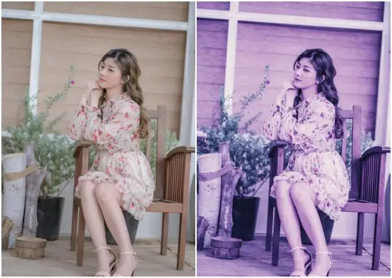 Violet Preset Pack Bundle