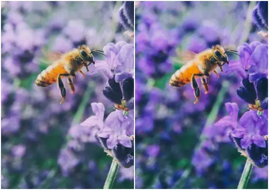 Ultra Violet Lightroom Preset