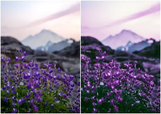 Violet Preset Adds More Colors