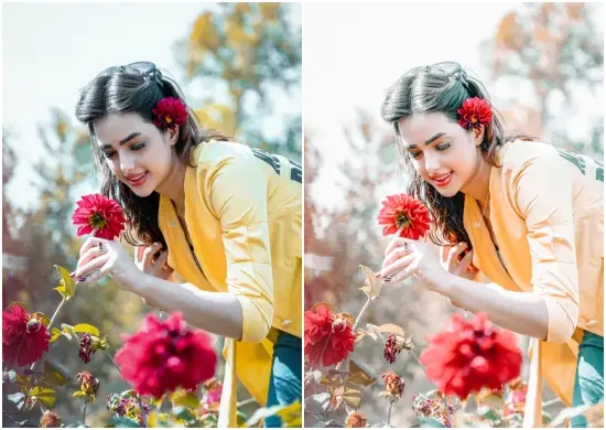 Dreamy Aspyn Ovard Preset