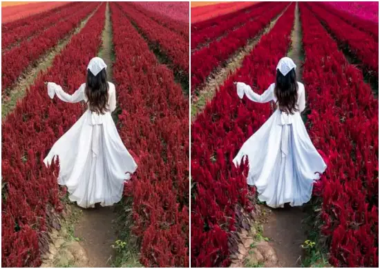 VSCO Filters Preset for Social Media Photos