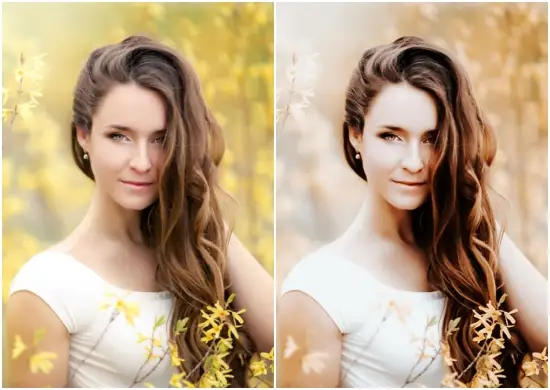 VSCO Colors Preset Dng for Instagram