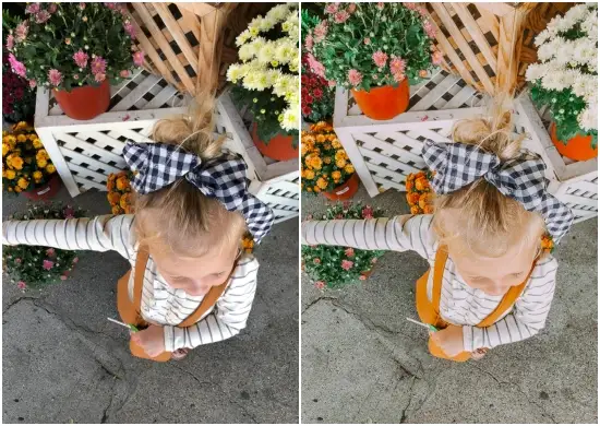 Download Lightroom Presets Warm Tones